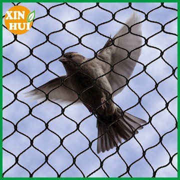 Agriculture anti bird net/agriculture anti bird net manufacturer