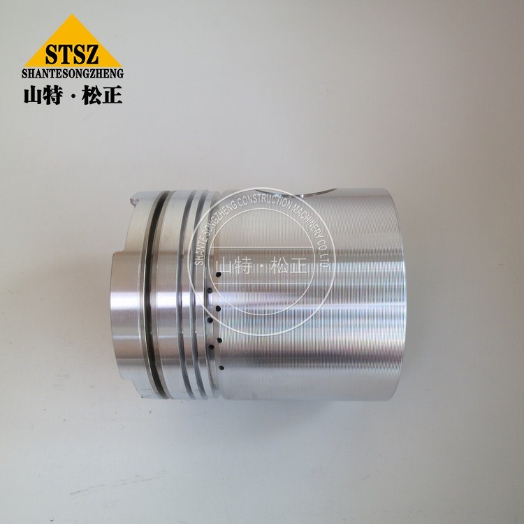 Piese de motor Piston 3048650