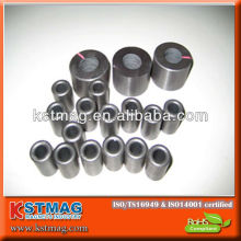 Ferrite Rotor Magnet