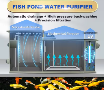 RAS Garden Aquaculture Aquarium Koi Fish Pond