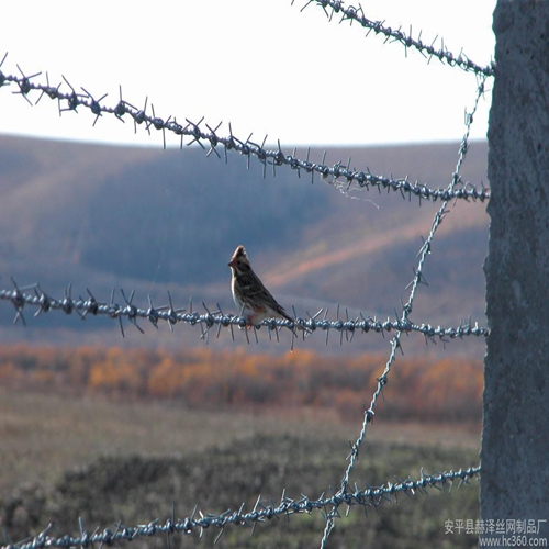 10Kg High quality cheap price razor barbed wire for sale