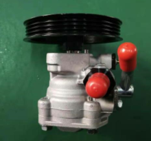 Lotus Ferry PW531882 Power Steering Pump