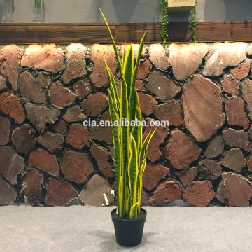 Variegated artificial snake plant, sansevieria trifasciata in pot