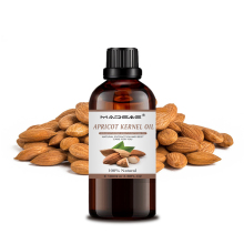 Hot Selling top quality Natural Apricot Kernel Oil