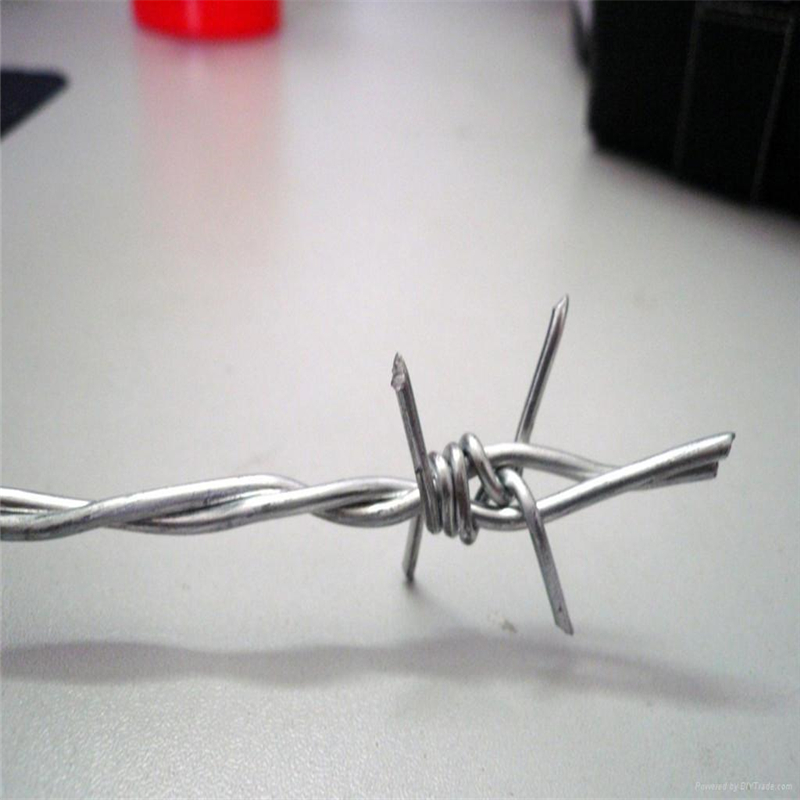 barbed wire