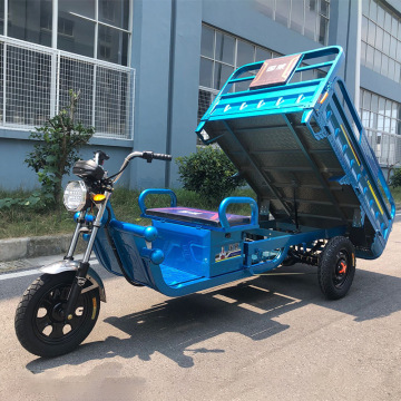 Cargo Electric Tricycle Customizable