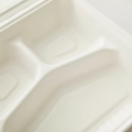 Sustainable 3-Compartment Takeout Box Made from Natural Sugarcane