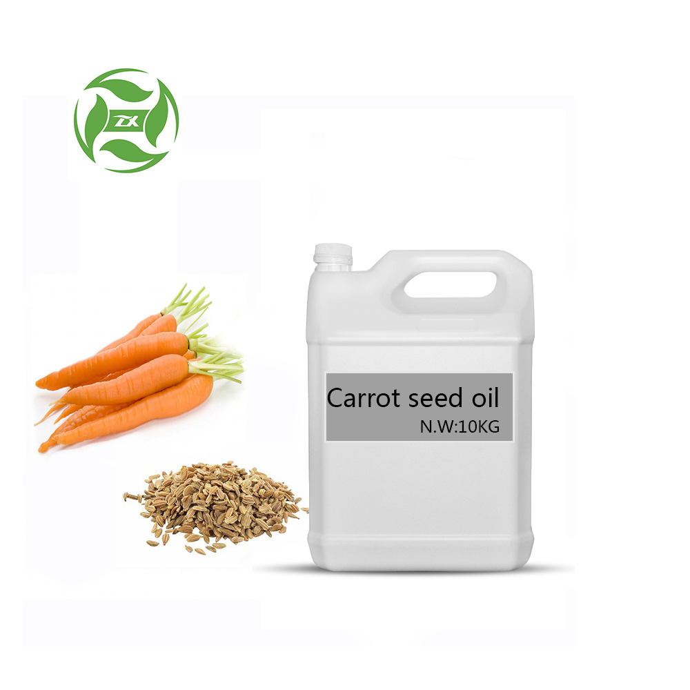 Fornitura di fabbrica Olio essenziale di semi di carota puro al 100%