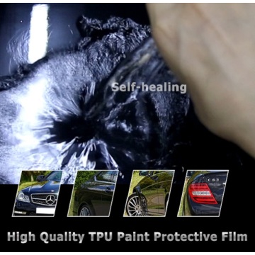 paint protective film cost