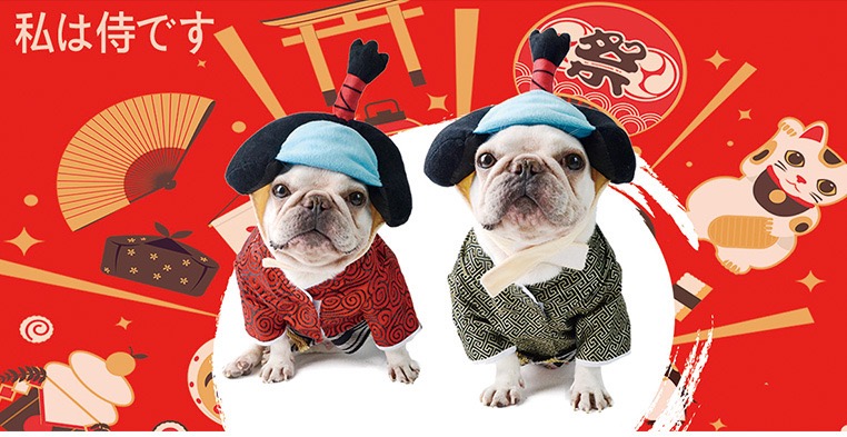 Pet samurai outfit cat corgi dog clothes