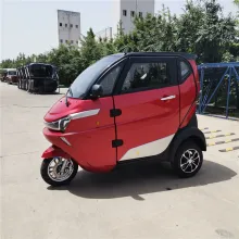 EEC Coc Ce Approved 3wheel Electric Adult Tricycle for Sale