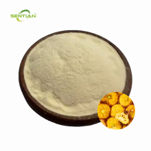 High Quality Prickly Pear Powder for Daily Use