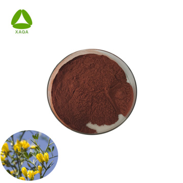 Antioxidans Aspalathus linears Rooibos -Extraktpulver