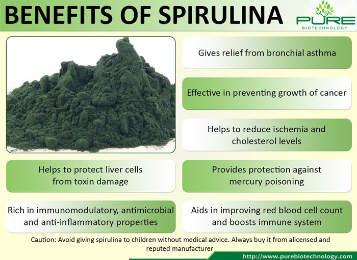 أعلى درجة نوب الاتحاد الأوروبي العضوية مسحوق سبيرولينا العضوية (6) Top Grade NOP EU Certified Organic Spirulina Powder (6)