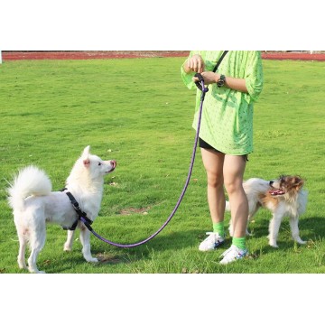 Comfortable Strong Dog Leash