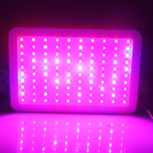 Νέο φως LED αυξάνεται για την ανάπτυξη του υδροπονικού συστήματος