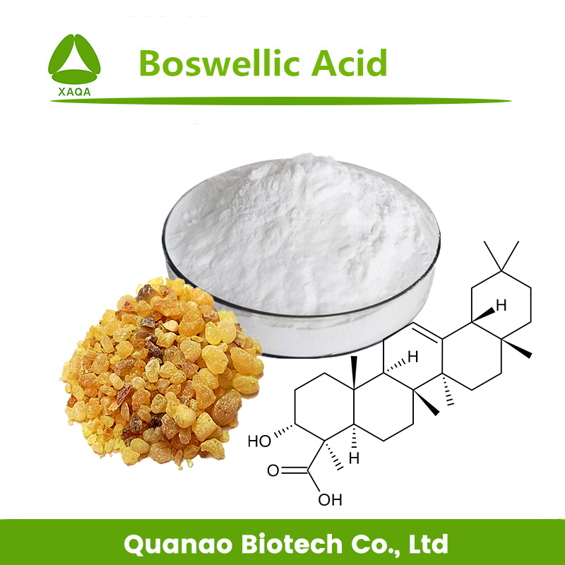 Extrait de Serrata Boswelia Acide boswellique 65% HPLC