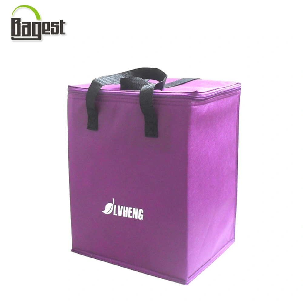 Professional Manufacture Cheap Non Woven Fitness Insulated Cooler Bags