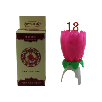 Cake Firework Birthday Candle Set Factory