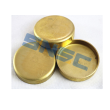 HOWO Steyr ENGINE PARTS BOWL PLUG 9003989288