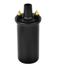 Oil immersed ignition coi