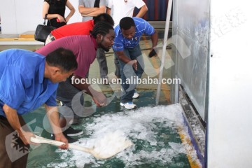 New advanced Economic type plate ice machine/plate ice making machine/plate ice maker