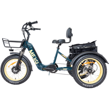 25mph Folding E-Trike: 750W 14AH Removable Battery Adult Electric Trike with Thumb Throttle