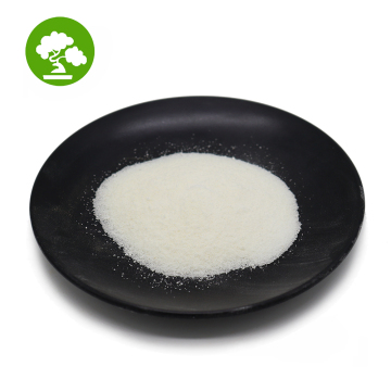 Sodium Cocoyl Isethionate SCI Powder 61789-32-0