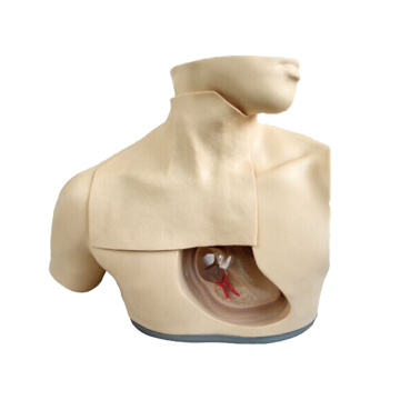 SC-H72 Parenteral Alimentation Nursing Model: Medical Manikin for Skill Training