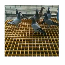 FRP Plastic Grating Flooring Pigeon Floor Grills