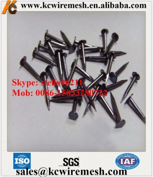 Cheap!!!!!!! KangChen Galvanized white shoe tacks/shoe nails