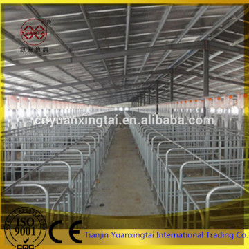 galvanized pipe for pig gestation stall/gestation stalls