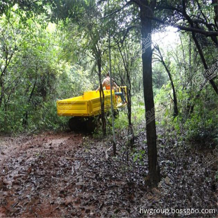 crawler dump truck