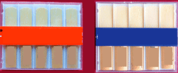 Reed (Saxophone Reed, Clarinet Reed. Etc)