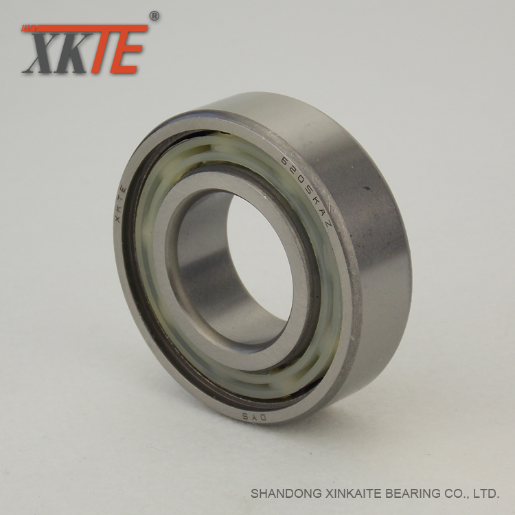 Polyamide Cage BB1B420205 C3 Conveyor Roller Bearing