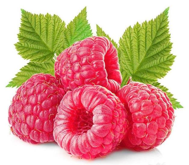 Minyak esensial biji raspberry merah organik curah