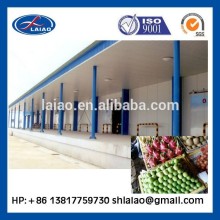 cold chiller warehouse