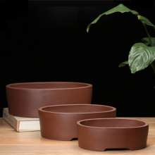 Pequenos potes de bonsai redondos para plantas bonsai