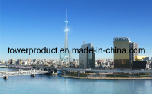 Broadcasting Tower (MG-BC012)