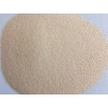 Garlic granules 40-80 mesh