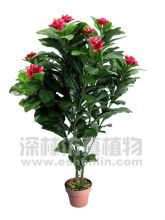 hotsale artificial plumeria tree;fake artificial flower