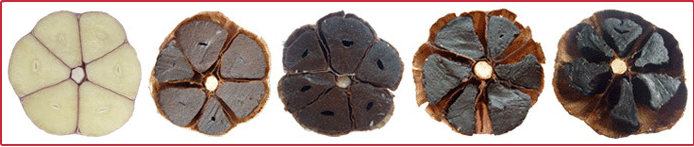 black garlic seed