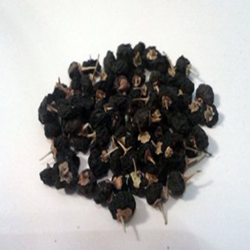 schwarzes Wolfsbeerenlycium black wolfberry lycium