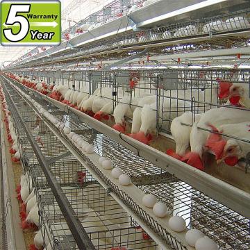 Innaer poultry cages design for laying egg chicken
