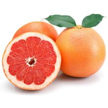 Pasokan Pabrik Minyak Grapefruit Merah Muda 100% Kelas Terapi Alami Murni untuk Aromaterapi Non-GMO di Drum Besar