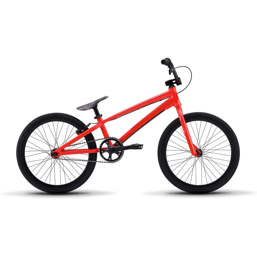 2019 New BMX Race Bike for Man