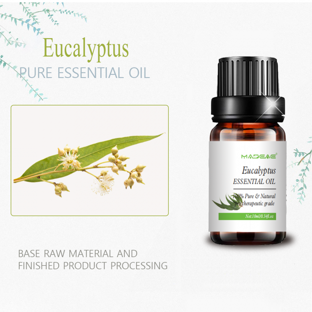 Air Eucalyptus Essential Essential Minyak Perawatan Kulit Pijat