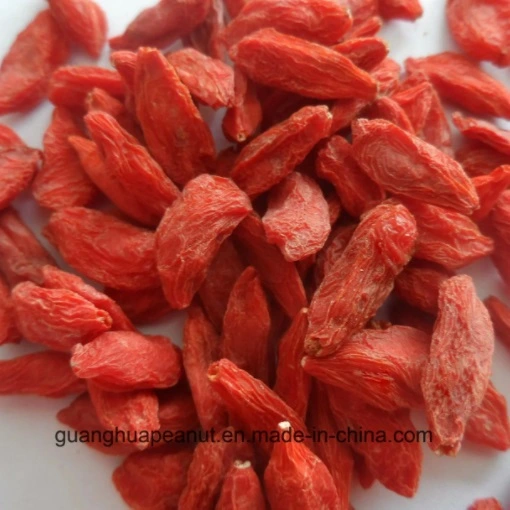 Dried Goji Berry From China