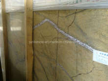 Design Tropical Rainforest Brown Marble Slabs for Flooring Tile