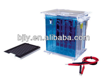 Vertical Western Blotting Electrophoresis Cell